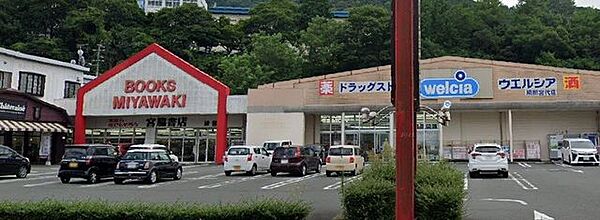 周辺を拡大表示