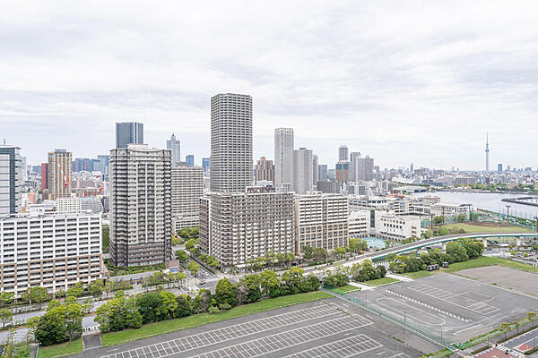 21階・角住戸からの開放的なパノラマビュー。スカイツリーや都心の景色が鮮やかに広がります。