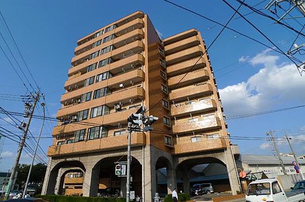 外観：317000010775