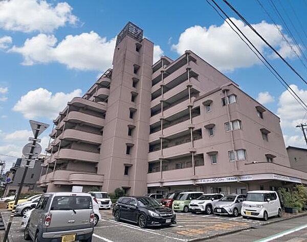 外観：317000010943
