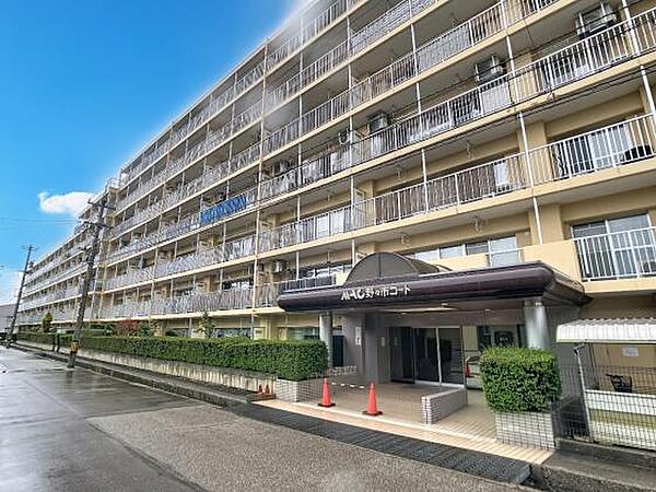 外観：317000011214