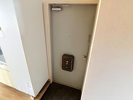 郵便受け・ドアガードを備えた安心でスッキリとした玄関周りです。