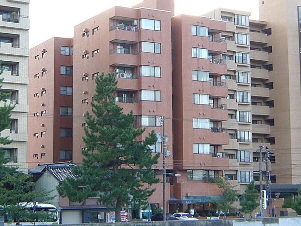 外観：317000012895