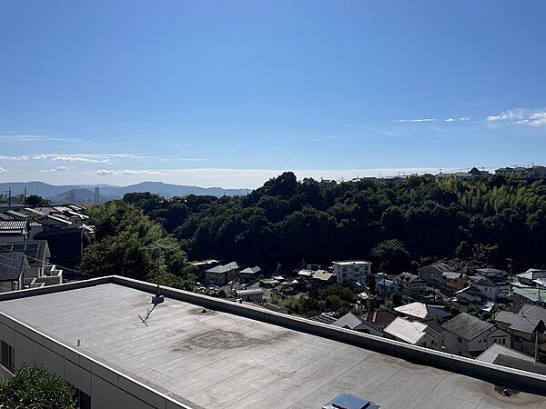 外観：334000222850