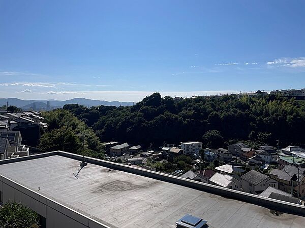 外観：334000263262