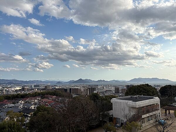 外観：334000222864