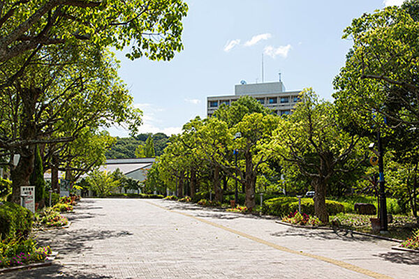 画像17:大学1「神戸市外国語大学(キャンパス)まで650ｍ」周辺には「神戸市外国語大学」「神戸芸術工科大学」「兵庫県立大学」など教育機関が密集していて、研究学園都市の名のとおりアカデミックな雰囲気。学生街のよ