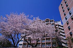 URグリーンヒルズ六甲  ｜ 兵庫県神戸市灘区六甲台町（賃貸マンション2LDK・3階・61.97㎡） その13