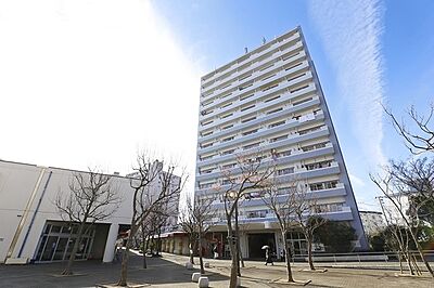 外観 外観