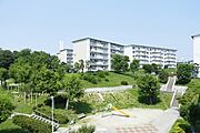 ＵＲ都市機構新多聞団地４３４号棟 5階 築51年11ヶ月の賃貸物件
