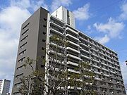 伝法駅より徒歩6分 11階 築55年5ヶ月の賃貸物件