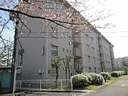 逆瀬川駅より徒歩20分 1階 築60年6ヶ月の賃貸物件