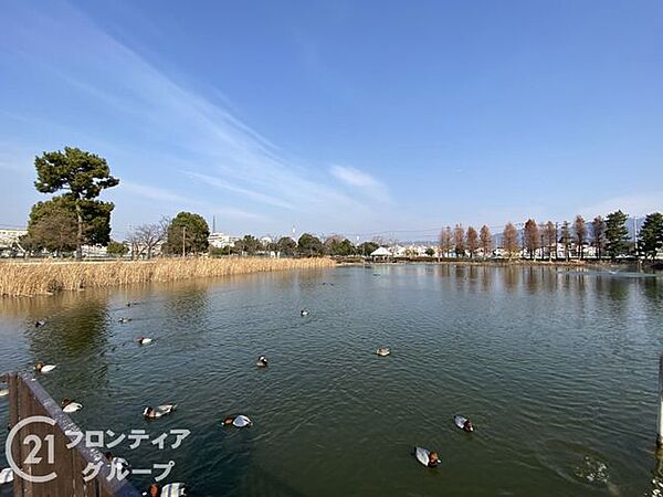 弁天池公園 徒歩15分。 1170m