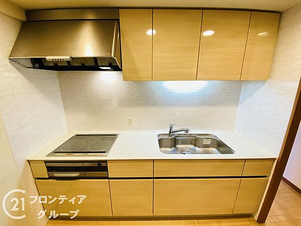 光沢のある美しい木目調の面材が上品な清潔感を醸し出す機能的なシステムキッチンです！すっきりと片付いた調理スペースが日々のスムーズな家事時間を心地よく支えます
