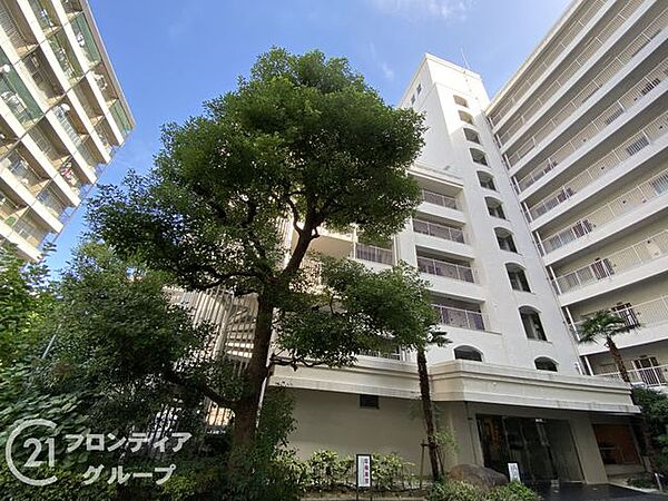 エリアの特性や周辺環境についての情報提供も行っています。物件だけでなく、地域の暮らしやすさも含めてご確認いただけます