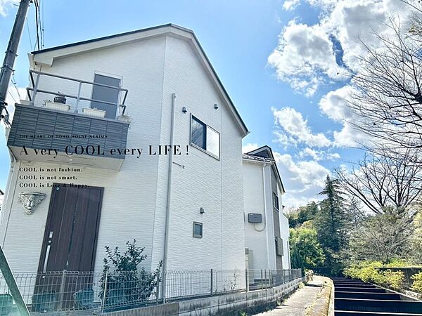 外観：313004479435