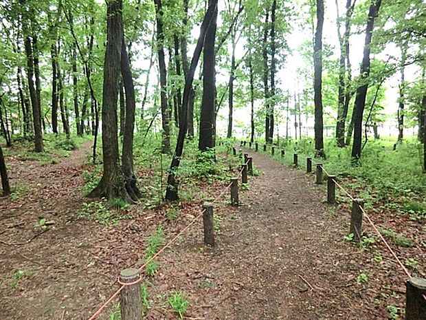 清戸自然公園まで約306m