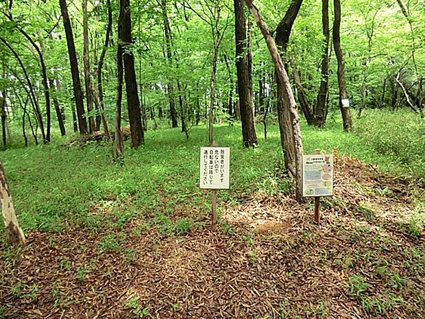 中清戸上組稲荷児童遊園まで約336m
