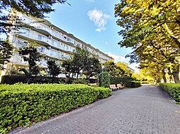 志木ニュータウン南の森