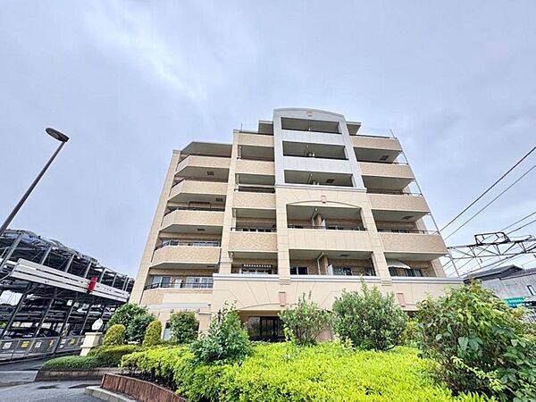 外観：313004479426