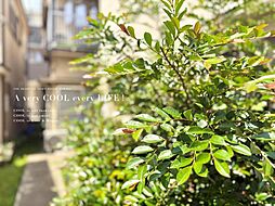 東京都板橋区弥生町