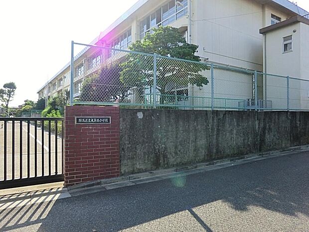 練馬区立大泉西小学校まで約99m