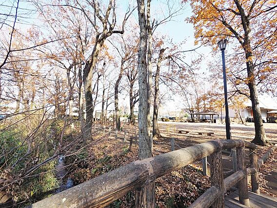 野火止公園まで...