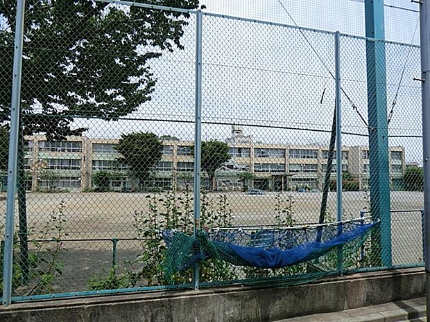 練馬区立橋戸小学校まで約809m