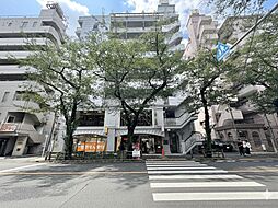 ダイアパレス武蔵境