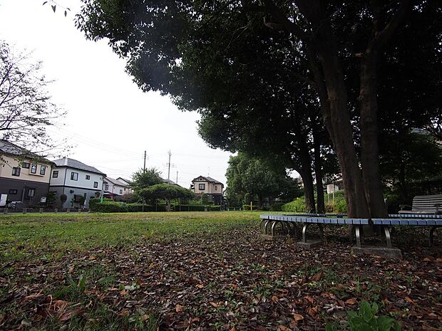 南沢第7緑地まで約170m