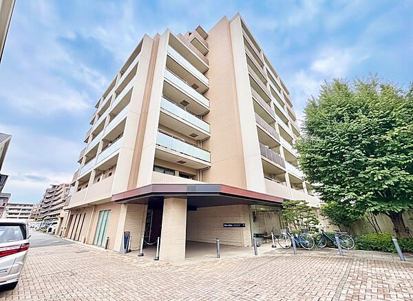 外観：313004479526