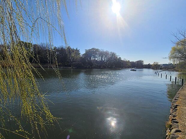 石神井公園まで約2500m