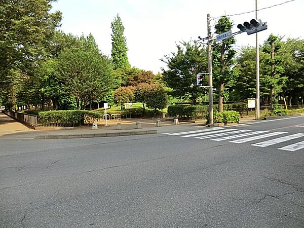 青葉台公園まで約785m