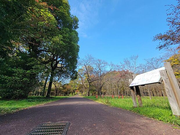 武蔵野公園まで約550m