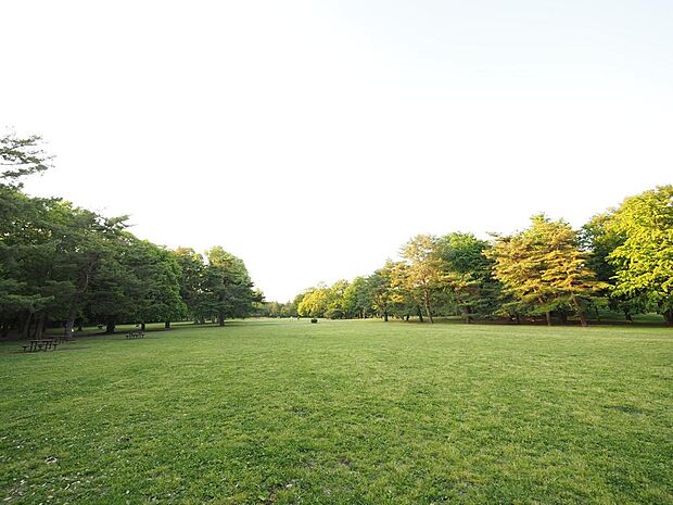 野川公園まで約1300m