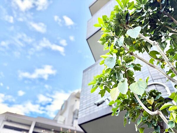 【Exterior】外観