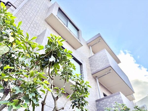 【Exterior】外観