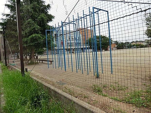 志木市立志木小学校まで約765m