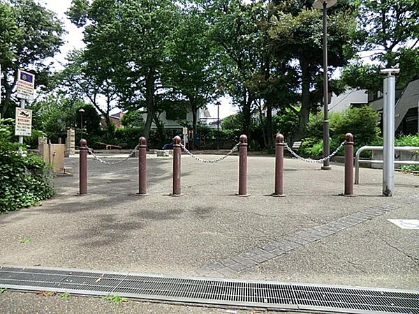桃井公園まで約264m