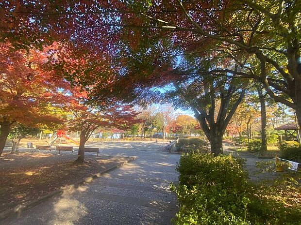 青葉台公園まで約2000m