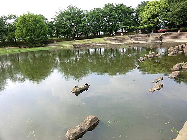 清瀬金山緑地公園まで約758m