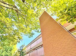 フォレストレイクひばりが丘N棟