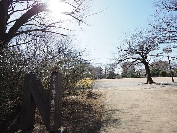 成増北第一公園まで約400m