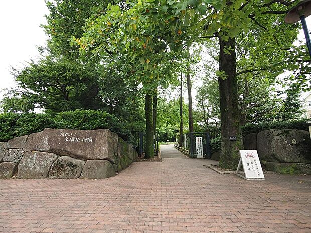 赤塚植物園まで約1000m