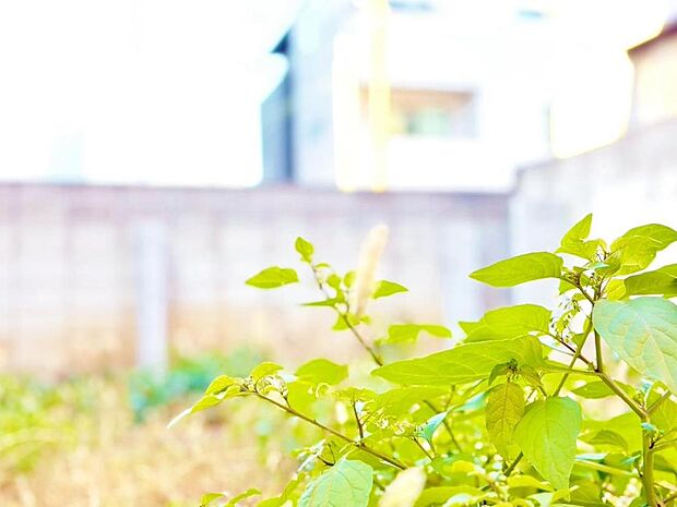 【Under construction】建設中