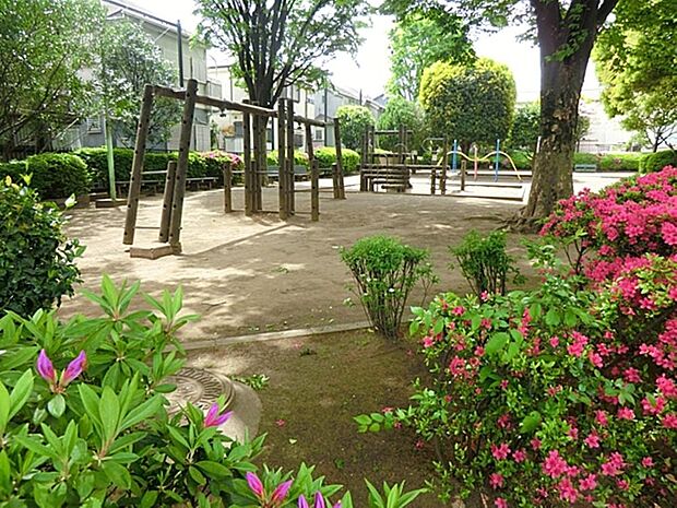 大沼地域センター公園まで約1170m