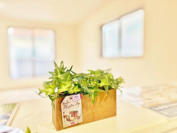 【Livingroom】リビング