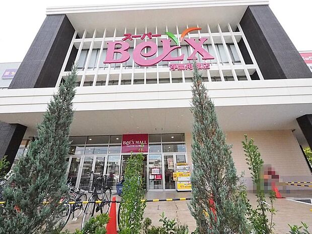 ベルクス浮間舟渡店まで約800m