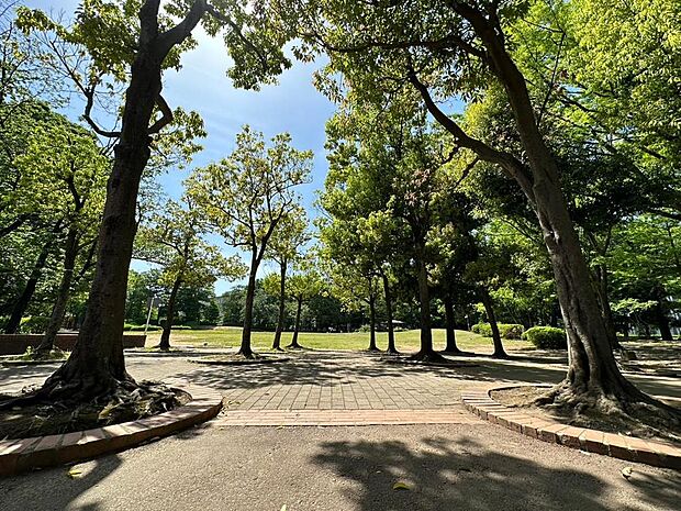 館近隣公園まで約1500m