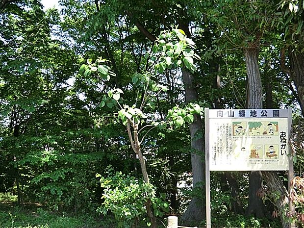 向山緑地公園まで約372m